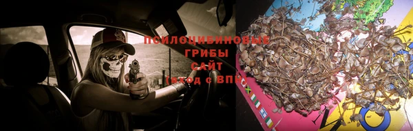 таблы Алексин