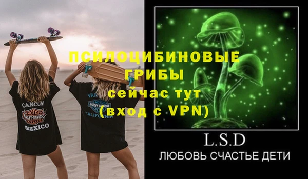 соль ск Алексеевка