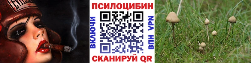 кракен зеркало  Калтан  Псилоцибиновые грибы Psilocybe 